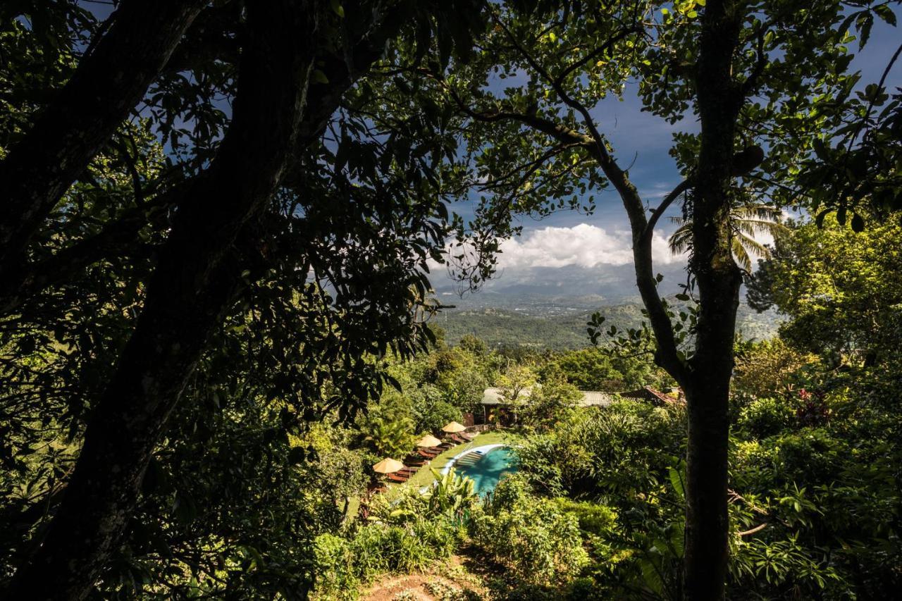 Yasmin Hill Longevity Oasis - Former Galavilla Boutique Hotel & Spa Kandy Kültér fotó